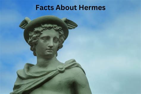 hermes facts and figures